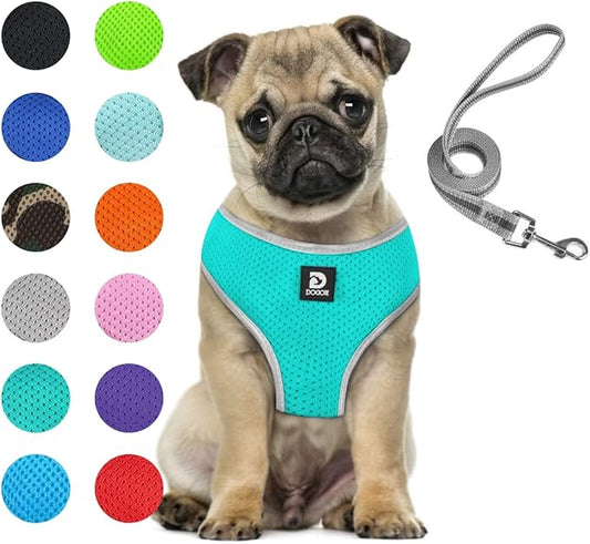 Dog Harness and Leash Set- Adjustable Reflective Step in Harness for Small Dogs Medium Size Dogs- No Pull No Choke Soft Mesh Comfort Dog Vest Harness (M, Lake Blue)