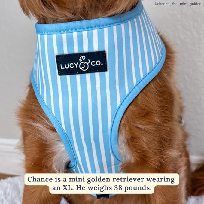 Lucy & Co. Cute Reversible Dog Harness Walking Halter - Best Designer Pet Harnesses for XS - XL Dogs - Padded Adjustable Vest for Easy Walking - X Small - Periwinkle Vacation Icons