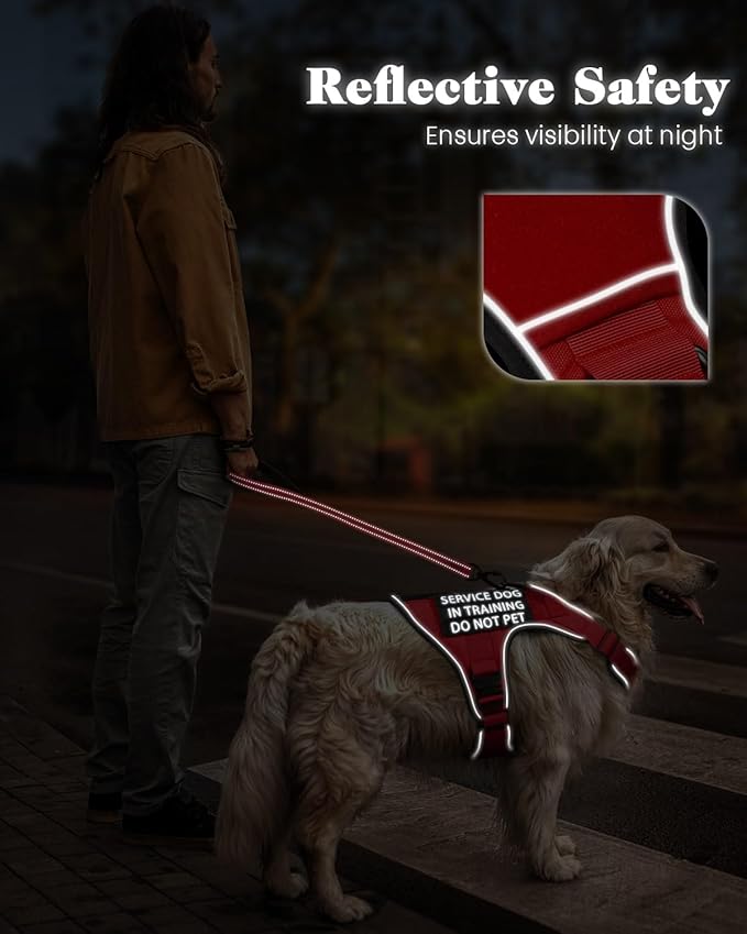 Reflective No Pull Service Dog in Training Vest Harness for Medium Large Dogs, Red Metal Buckles Front Clip Comfort Padded Adjustable Dog Harness with Do Not Pet Patches for Training Walking