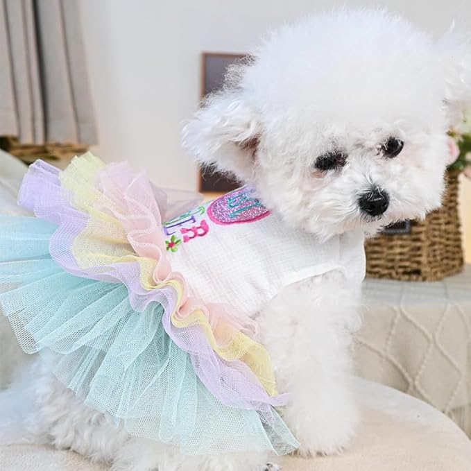 Dog Easter Outfit with My 1st Easter Embroidery Letters Holiday Puppy Dress Rainbow Small Dog Tutu Cat Apparel Fancy Pet Clothes for Chihuahua Yorkie Pomeranian Poodle (Colorful, X-Small)
