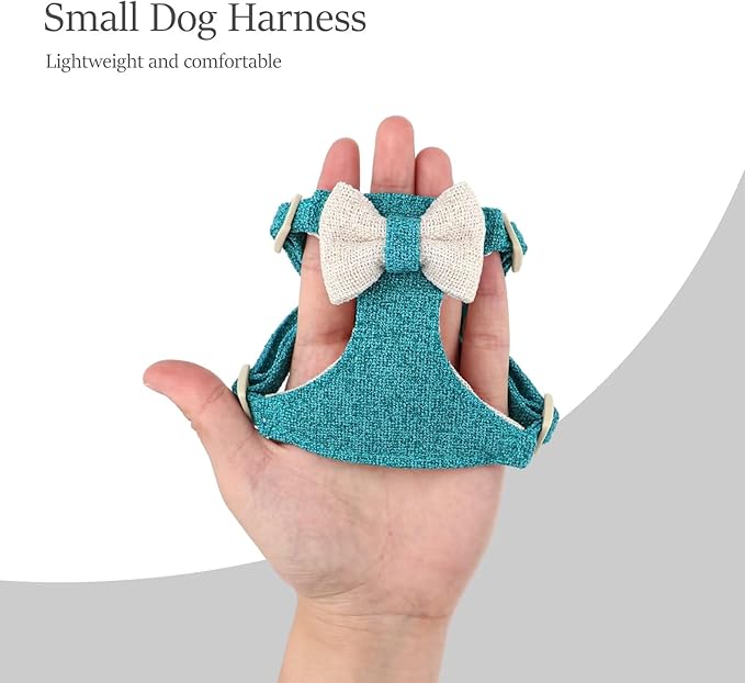 Didog Small Dog Harness Collar and Leash Set, Adjustable Lightweight Vest Harness with Cotton Soft Mesh for Small Dogs, Cats (Blue, XXS)