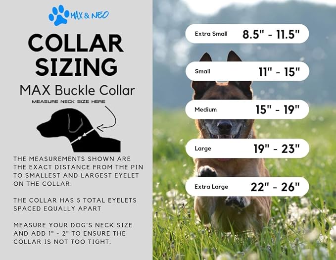 Max and Neo MAX Reflective Metal Buckle Dog Collar - We Donate a Collar to a Dog Rescue for Every Collar Sold (X-Large, Pink)