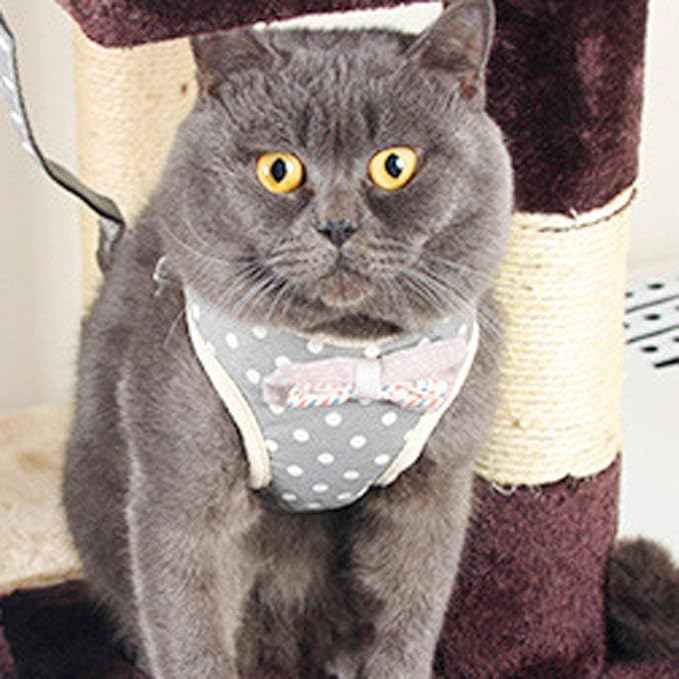 Puppy Harness and Leash Set for Walking Escape Proof Adjustable Soft Padded Mesh Front Vest Harness with Leash and Cute Bows Easy to Put On & Take Off Step in Dog Harness for Small Dogs and Cats