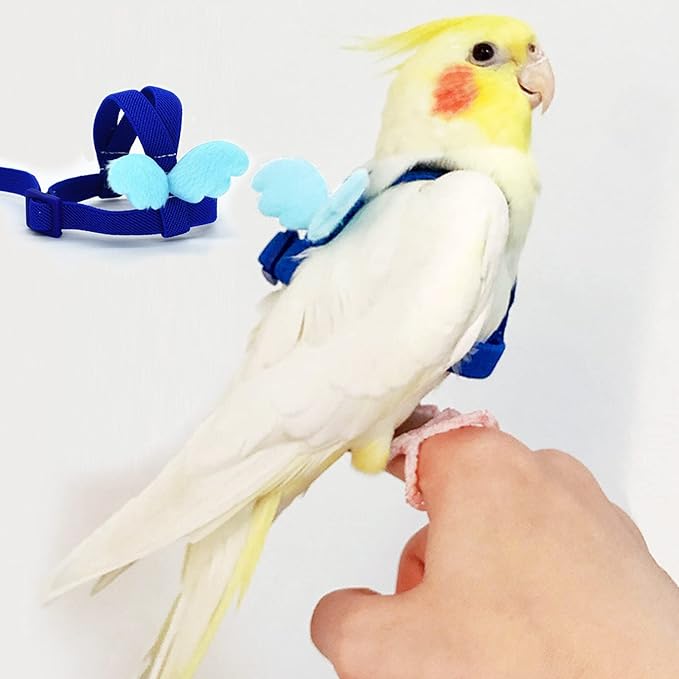 Cockatiel Harness and Leash, Adjustable Parrot Bird Training Design Anti-Bite, Bird Nylon Rope with Cute Wing for Cockatiel and Same Size Birds (L, Blue)
