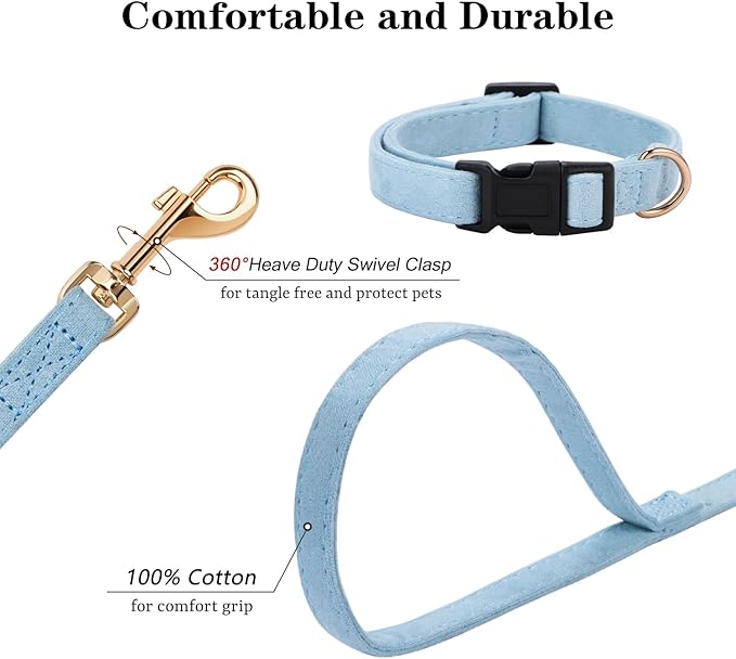 No Pull Dog Harness- Lightweight, Soft, Adjustable Small Harness Collar and Leash Set, Suitable for Cats Puppy Small and Medium-Sized Dog Outdoor Training and Running (Blue, S)