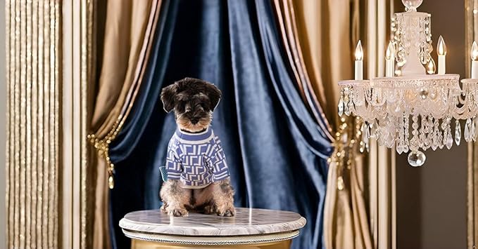 Designer Dog Clothes Sweater Shirt Outfit Small XS Teacup Cute Dogs Puppies French Bulldog Dachshund Chihuahua Cats Maltese Boy Girl (Small, Furdiblue)