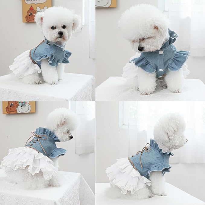 Girl Dog Denim Dress with Flared Sleeves Dog Jeans Jacket Blue White Puppy Clothes for Small Dogs Cat Apparel Cake Skirt Pet Outfit (Blue, X-Small)