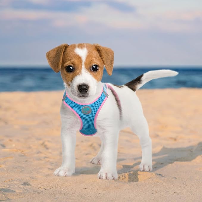 PHOEPET Step-in Dog Harness,Reflective Adjustable Dog Vest Harness, Soft Pet Walking Jacket with 2 Metal Leash Hooks for Dog and Cat(Baby Blue Base & Pink Straps,L)
