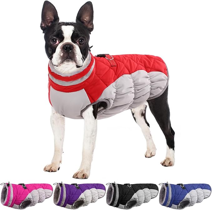 Dog Coats for Small Dogs, Puppy Coat, Warm Winter Jacket, XS Dog Coat with Harness Built in, Waterproof Pet Cold Weather Coats, Puppy Winter Clothes Snowsuit Chihuahua Maltese,Red,XS