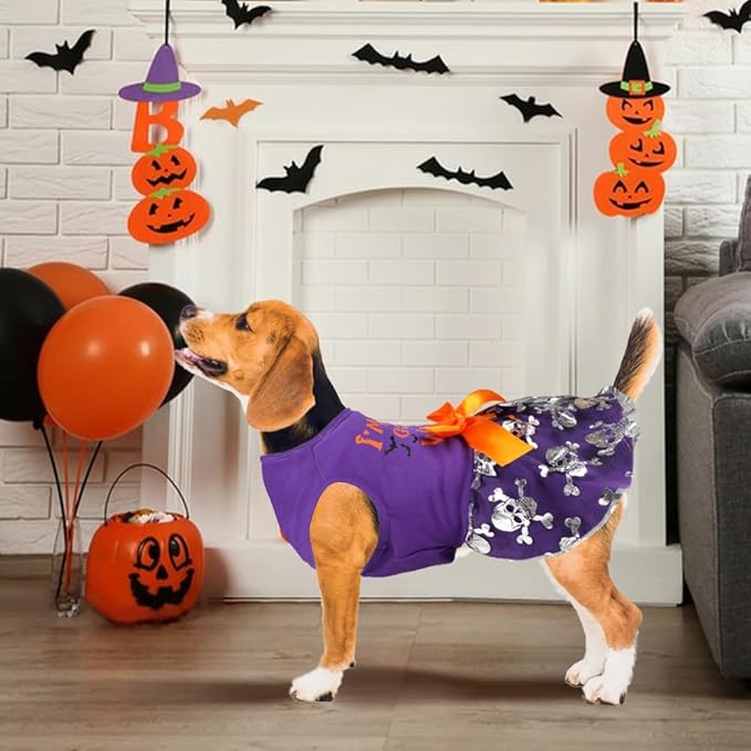 Dog Halloween Costumes, Funny Puppy Dress With Bow for Small Large Dogs, Pumpkin Witch Bat Pet Costume for Christmas (Medium, Good Witch2)