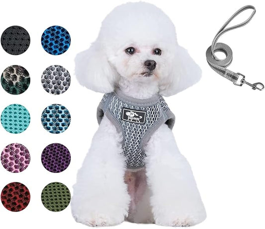 Dog and Cat Universal Harness with Leash - Cat Harness Escape Proof - Adjustable Reflective Step in Dog Harness for Small Dogs Medium Dogs - Soft Mesh Comfort Fit No Pull No Choke (S, Grey)
