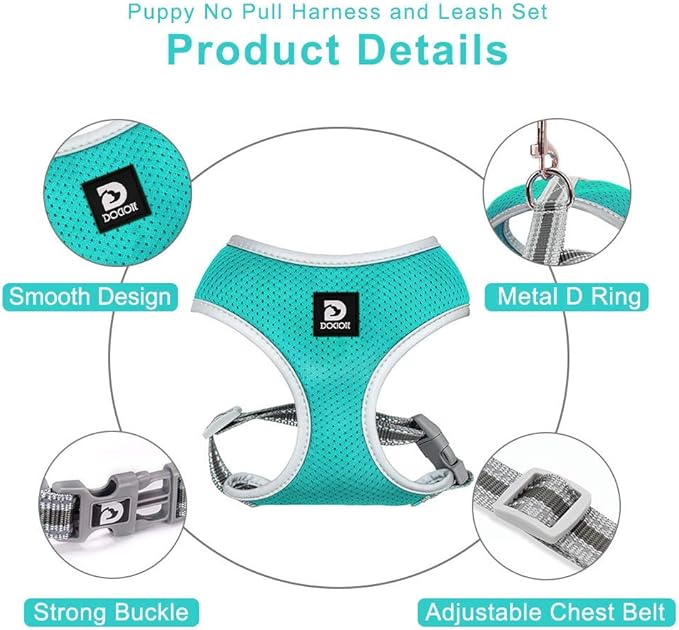 Dog Harness and Leash Set- Adjustable Reflective Step in Harness for Small Dogs Medium Size Dogs- No Pull No Choke Soft Mesh Comfort Dog Vest Harness (XS, Lake Blue)