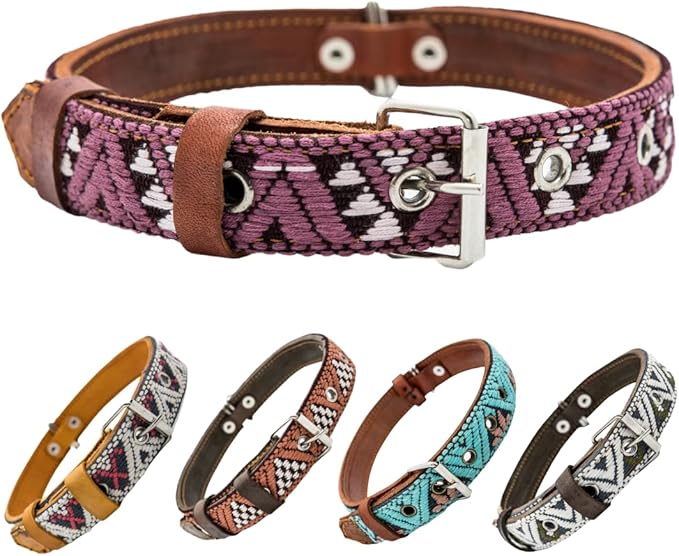 Western Dog Collar - Leather Embroidered Design for Small Medium Large Dogs & Puppy Pets - Aztec Southwest for Boy Girl Female & Male Dogs - Collar para Perros Beaded (Medium, Carissma)