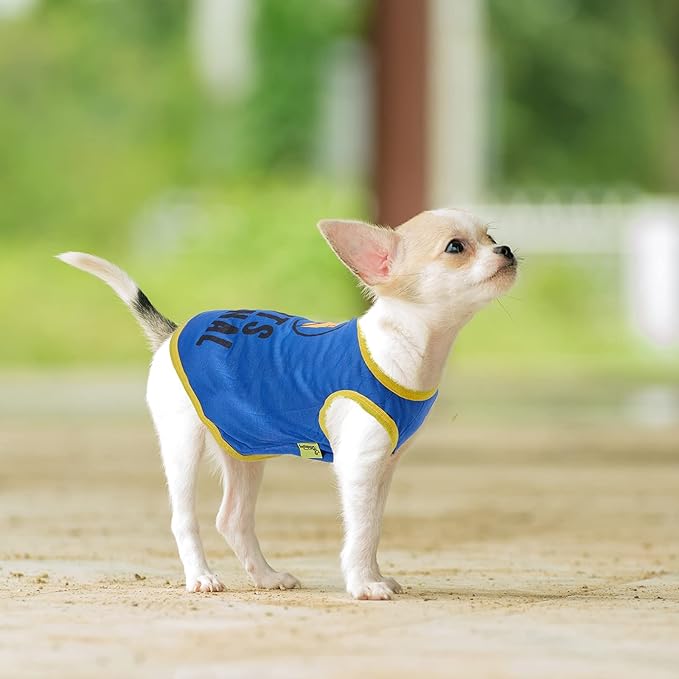 Saintrygo 8 Pieces Dog Shirts Pet Printed Clothes with Funny Letters Summer Pet T Shirts Cool Puppy Breathable Dog Outfit Soft Sweatshirt Cats(Classic Pattern,X- Small)