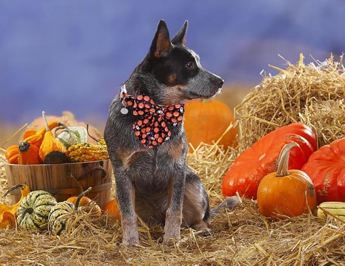 DOGWONG Fall Dog Collar with Bowtie - Fall Dog Collar Soft Cotton Autumn Dogs Necklace - Halloween Puppy Necklace for Small Medium Large Dogs