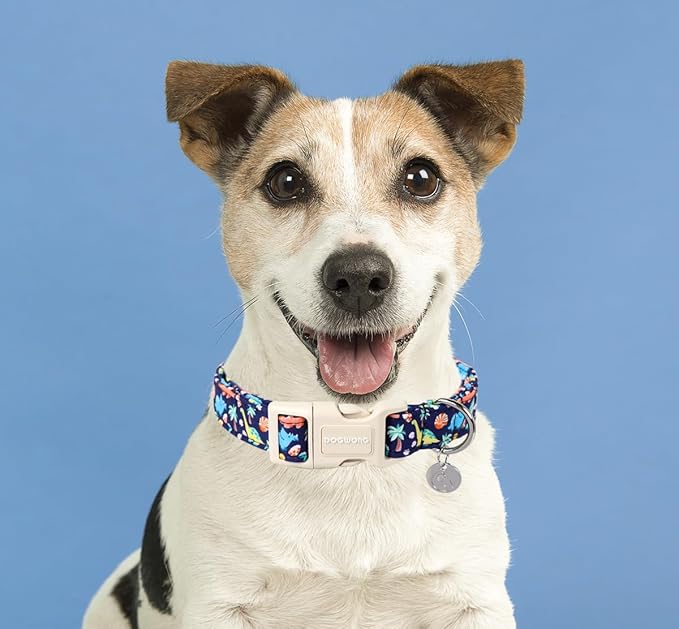DOGWONG Cotton Dog Collar - Blue Dinosaur Design, Soft Natural Fabric, Cute Summer Puppy Necklace for Small to Large Dogs
