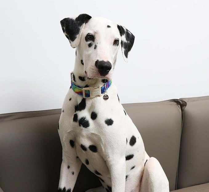 DOGWONG Cotton Dog Collar - Soft Natural Fabric, Spring Summer Wedding Puppy Necklace for Small Medium Large Dogs