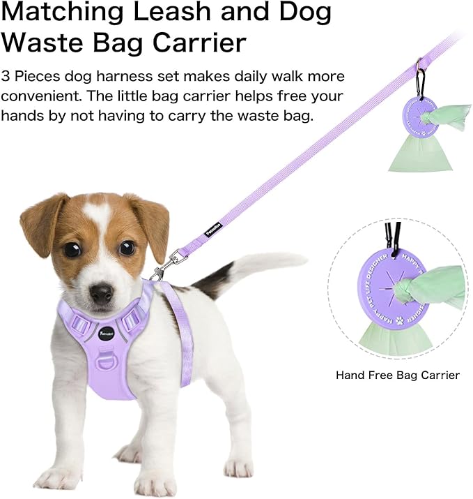Petmolico Dog Harness for Small Dogs, Cute Harness Vest with Two Leash Clips and Soft Handle, Reflective Easy Walk Puppy Vest - Light Purple, X-Small