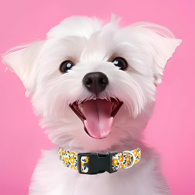 Tunkoo Flower Dog Collar, Cute Adjustable Yellow Collar for LGBT Pride Month Strong Plastic Buckle - for Small Medium Large Pets, L