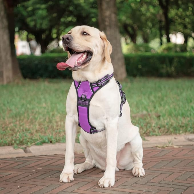 PoyPet No Pull Dog Harness, [Release on Neck] Reflective Adjustable No Choke Pet Vest with Front & Back 2 Leash Attachments, Soft Control Training Handle for Small Medium Large Dogs(Purple,S)