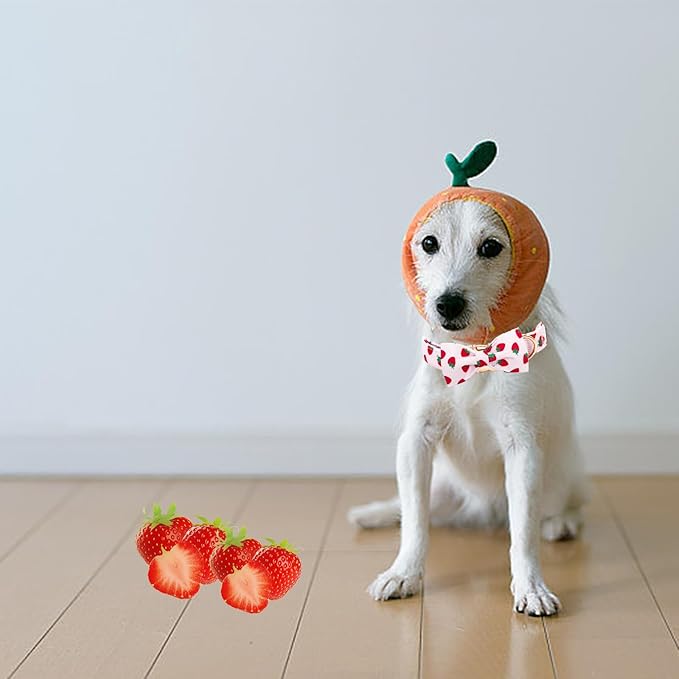 Elegant little tail Dog Collar, Strawberries Print Pet Collar Summer Dog Collar Durable Metal Buckle Dog Collars Cotton Pet Adjustable Dog Collars for X-Large Dogs