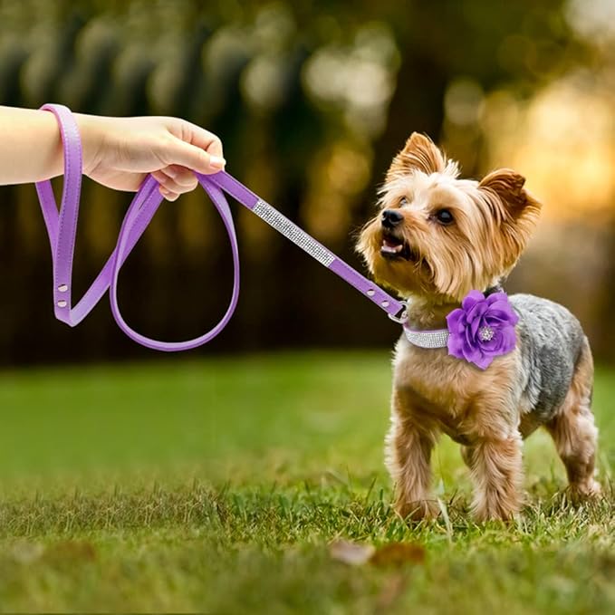 PET ARTIST Rhinestone Dog Collar and Leash Set, Sparkling Girl Dog Collars with Bling Diamonds, Soft Leather Purple Pet Collar with Cute Flower for Small Puppy Dogs Walking Party Wedding,S