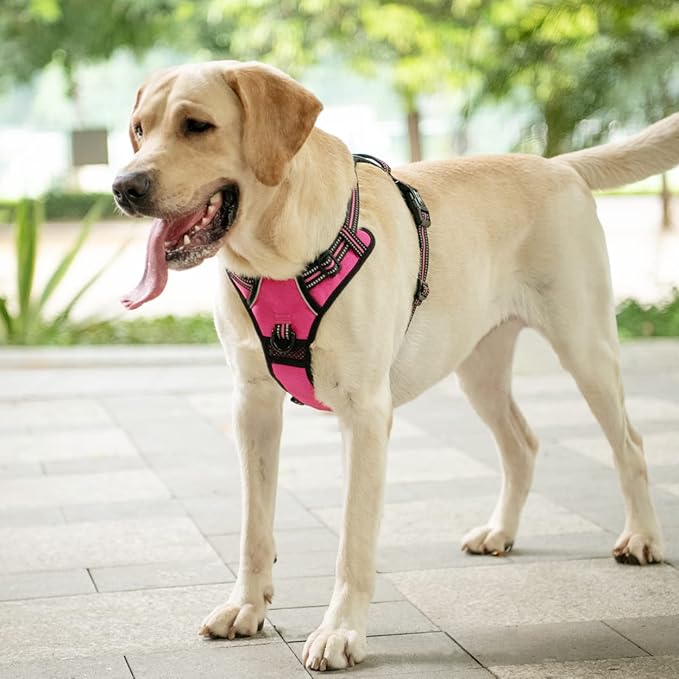 PoyPet No Pull Dog Harness, [Release on Neck] Reflective Adjustable No Choke Pet Vest with Front & Back 2 Leash Attachments, Soft Control Training Handle for Small Medium Large Dogs(Pink,S)