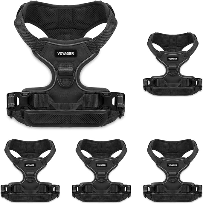 No Pull Dog Harness for Medium Dogs, Dual Leash Attachments, Adjustable Soft but Strong Pet Harness with 3M Reflective Technology, Black Nylon, M (Chest: 20-25") (Pack of 5)
