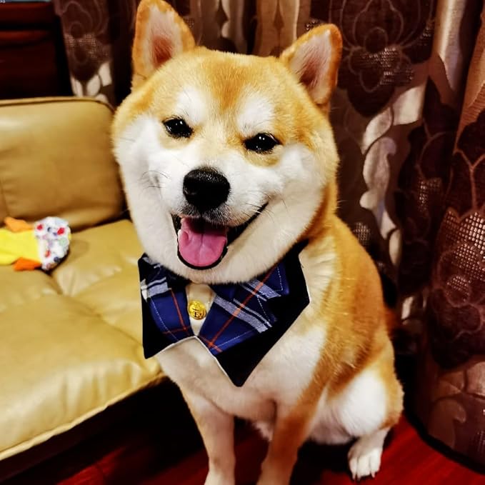 Dog Tuxedo Formal Cat Wedding Bandana Collar with Bow Tie Cat Birthday Costume Dog Wedding Attire Valentines Outfit Pet Gentlemen Sunglasses (Black)