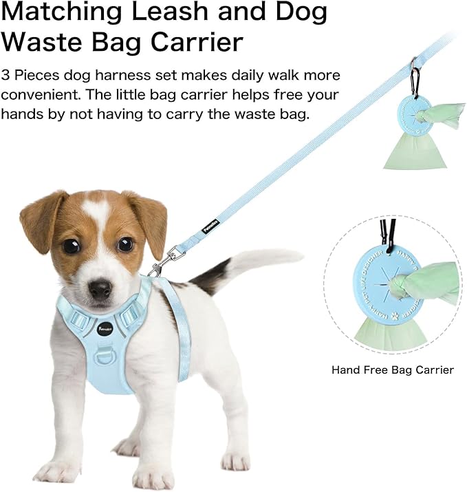 Petmolico Dog Harness for Small Dogs, Cute Harness Vest with Two Leash Clips and Soft Handle, Reflective Easy Walk Puppy Vest - Light Blue, Small
