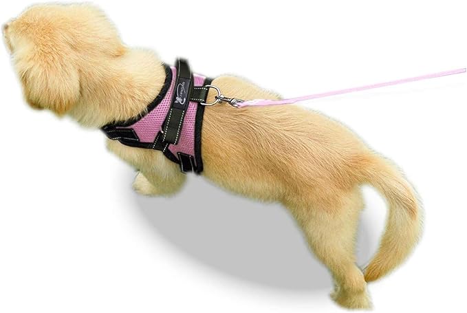 No Pull Reflective Adjustable Dog Harness With Handle- Comfortable Soft All Weather Mesh, Easy On Puppy Harness For Small Medium and Large Dogs (Pink) Large