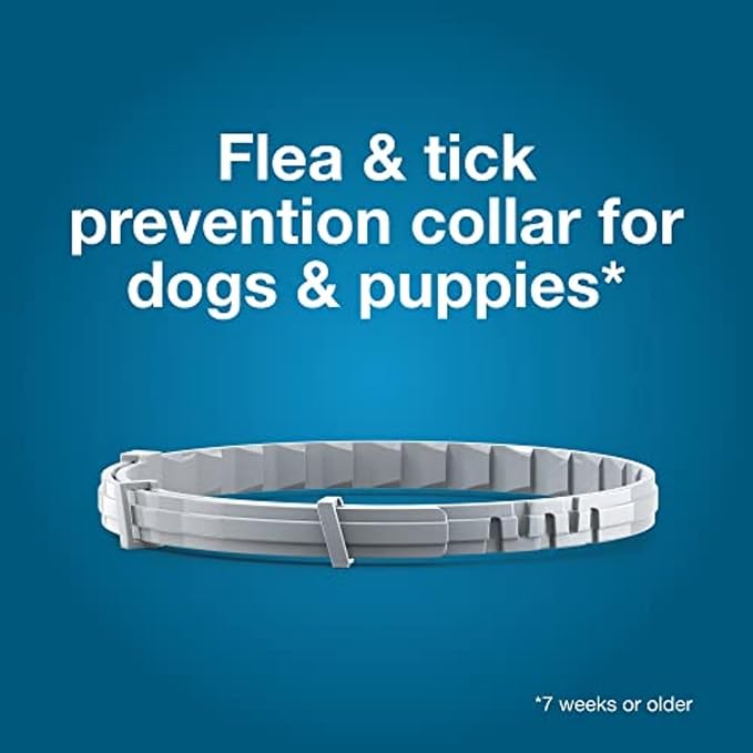 Seresto Small Dog Vet-Recommended Flea & Tick Treatment & Prevention Collar for Dogs Under 18 lbs. | 2 Pack