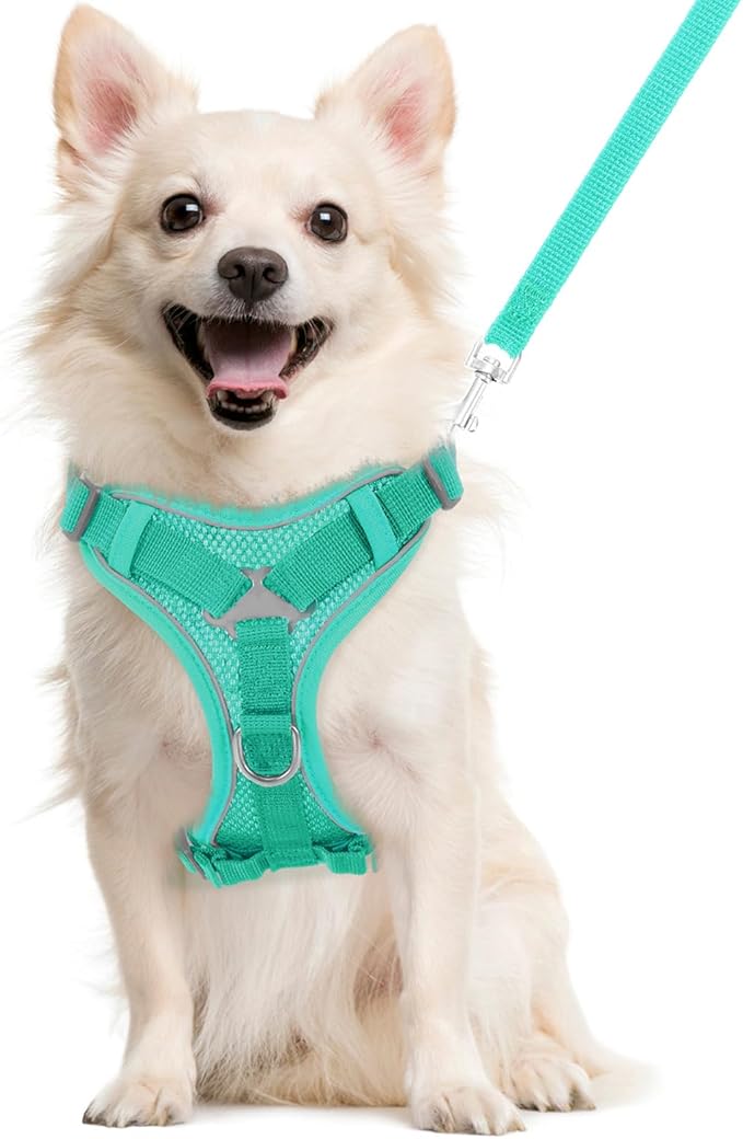 Cat Harness and Leash Set for Walking, Adjustable Kitten Vest Harness with Reflective Strip Breathable Mesh, Escape Proof Soft Pet Safety Vest for Cats, Kittens, Puppies, L, Lake Blue