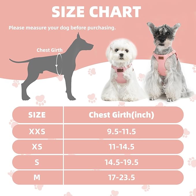 PUPTECK Dog Harness and Leash Set Small Sized, Step-in Cute Puppy Harness, Soft Lightweight Padded Vest, Escape Proof No Pull Pet Harnesses Easy for Walking, Pink, XS