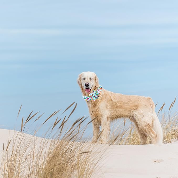 Elegant little tail Dog Collar, Dog Collar with Flower Boy Girl Pet Collar Flowers Soft Durable Dog Flower Collar for X-Small Dogs