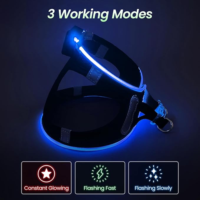 PceoTllar Light Up Dog Harness, LED No Pull Reflective Dog Harness, Flashing Lighted for Night Walking - Small/Medium, (Black Blue,m)