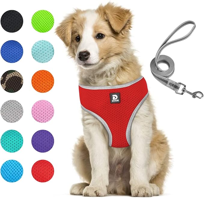 Puppy Harness and Leash Set - Dog Vest Harness for Small Dogs Medium Dogs- Adjustable Reflective Step in Harness for Dogs - Soft Mesh Comfort Fit No Pull No Choke (L, Red)