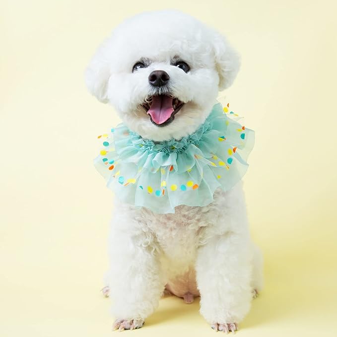 Jelly Bean Cape // pet Scarf, Pet Bib, Dog Bandanas, Round Neck Scarf/pet Accessories for Small, Medium, Large Dogs,Cat (Medium, Mint)