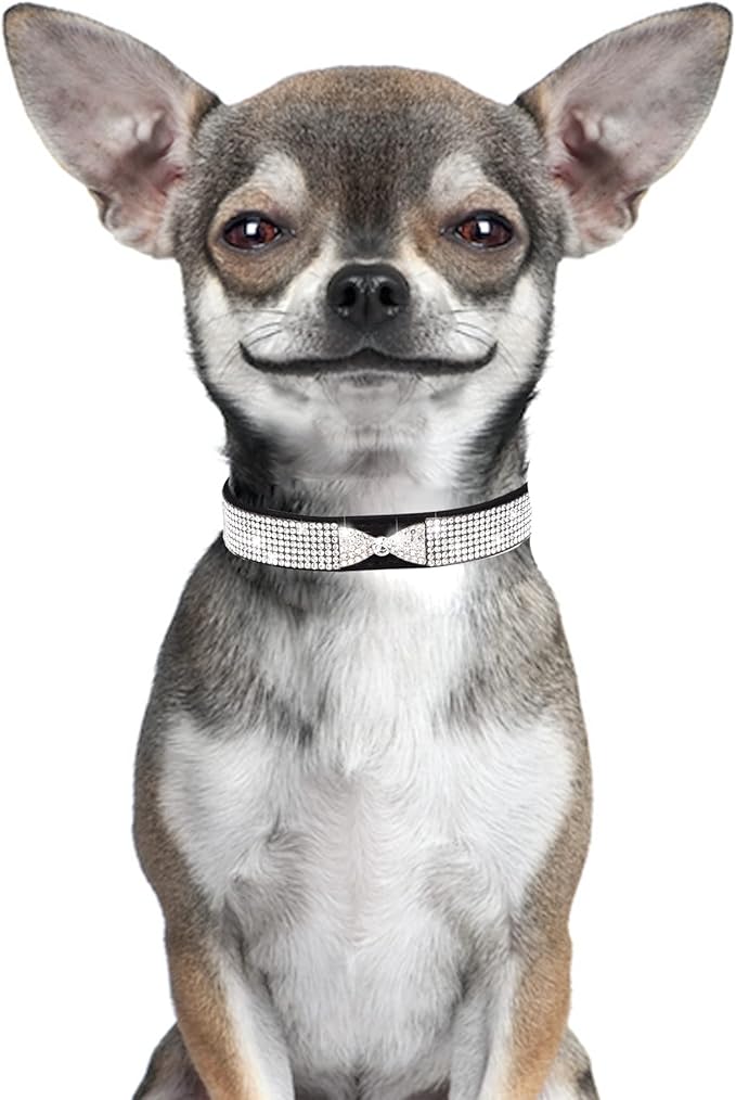 Dog Collar for Small Dogs, Adjustable Leather Suede Bling Dog Collars，Pink Dog Collar Cat Collar, Rhinestone Dog Collar (S, black4)