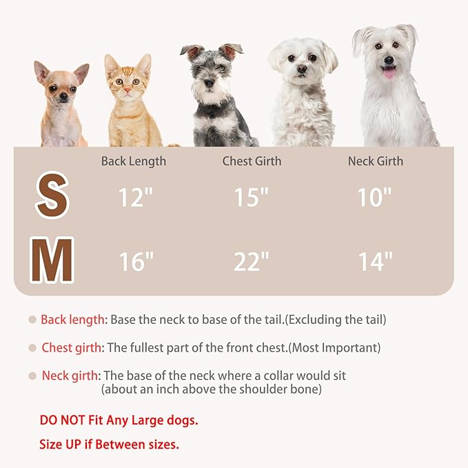 PUPTECK Plaid Dog Shirt, Cute Puppy Cat Polo T-Shirt, Soft Pet Clothes Boy Girl Outfit for Small Medium Dogs, Costume M