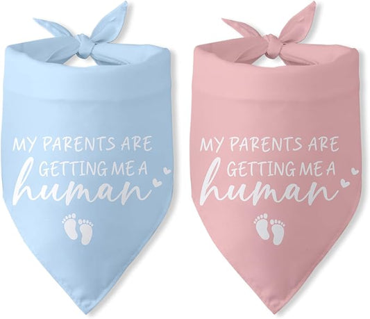 My Parents are Getting Me a Human Dog Bandana - Gender Reveal Gifts, Pregnancy Announcement, Baby Announcements Ideas, Photo Prop for Large Medium Small Dogs - 2 Packs
