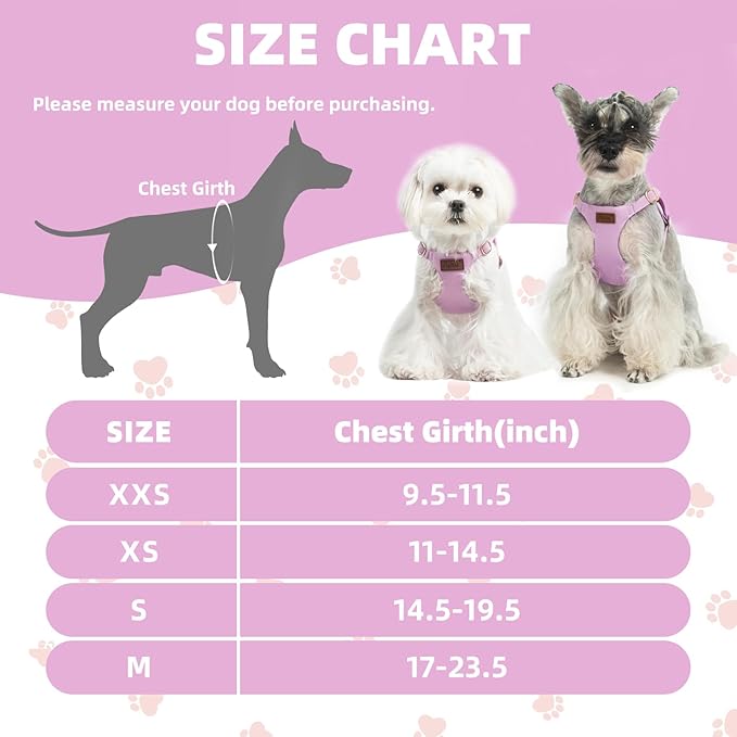 PUPTECK Dog Harness and Leash Set Small Sized, Step-in Cute Puppy Harness, Soft Lightweight Padded Vest, Escape Proof No Pull Pet Harnesses Easy for Walking, Purple, XS