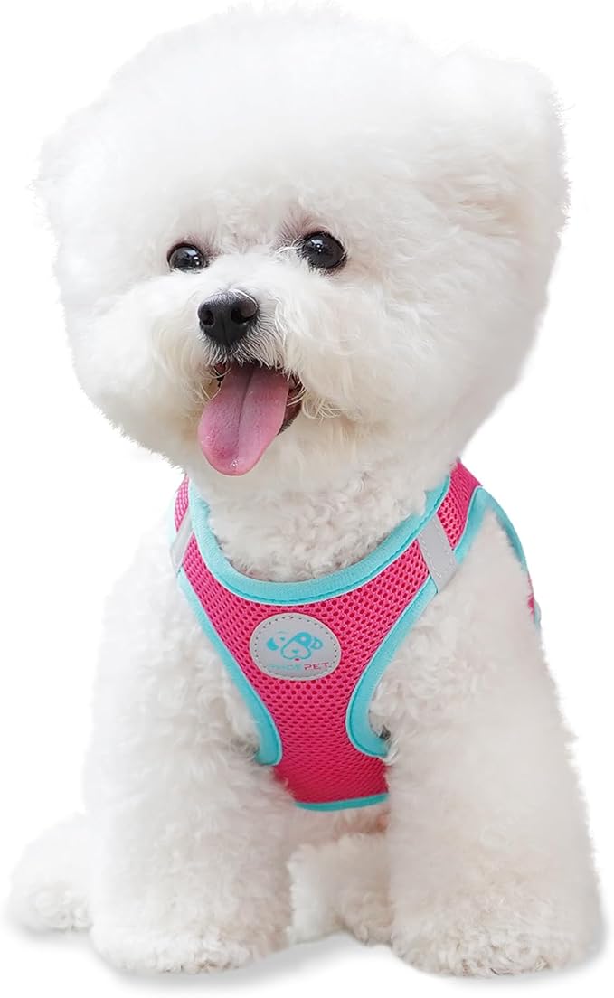 PHOEPET Step-in Dog Harness,Reflective Adjustable Dog Vest Harness, Soft Pet Walking Jacket with 2 Metal Leash Hooks for Dog and Cat(Pink Base & Green Straps,M)