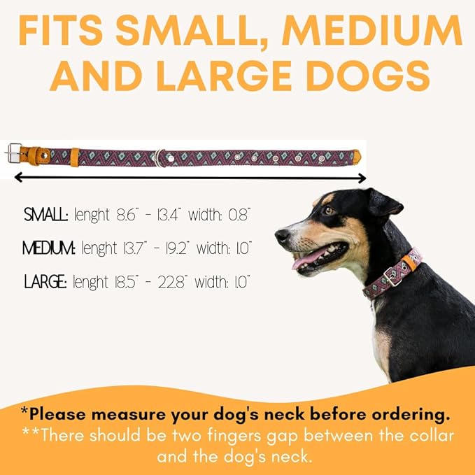 Western Dog Collar - Leather Embroidered Design for Small Medium Large Dogs & Puppy Pets - Aztec Southwest for Boy Girl Female & Male Dogs - Collar para Perros Beaded (Large, Camelot)