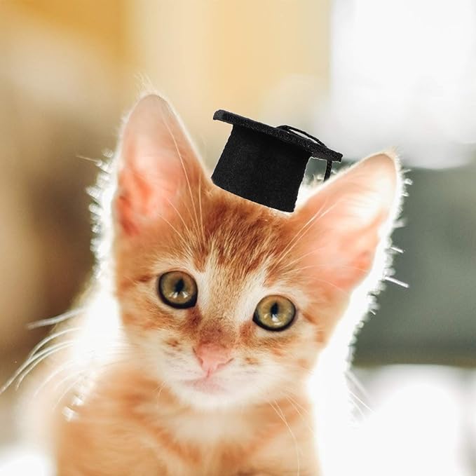 KESYOO 4Pcs Dog Graduation Cap Mini Graduation Cap for Crafts Small Graduation Caps for Decoration Pet Graduation Caps for Holiday Costume Accessory