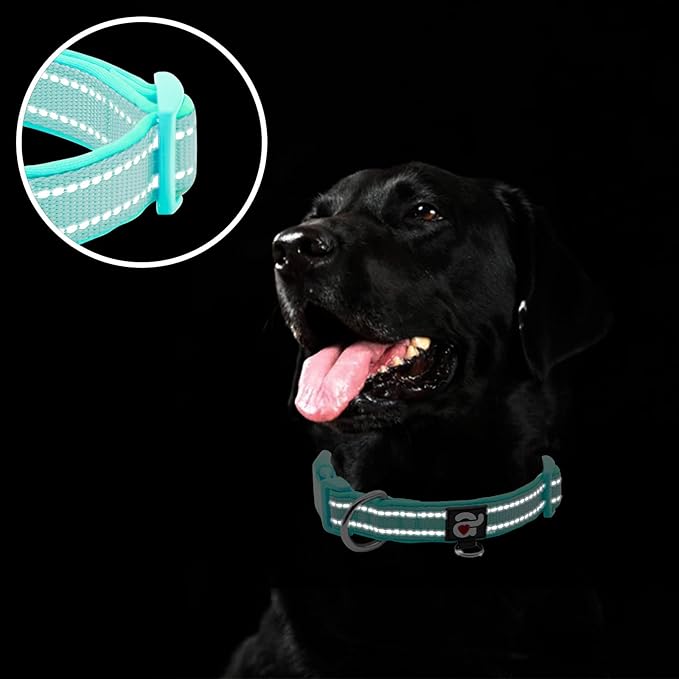 azuza Reflective Dog Collar,Soft Neoprene Padded Pet Collar with ID Tag Ring,Adjustable for Large Dogs,Teal,L