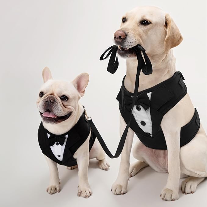 Kuoser Dog Tuxedo Harness, Adjustable Pet Harness No Pull for Small Medium Dogs, Doggie Wedding Suit with Bow Tie Party Costume