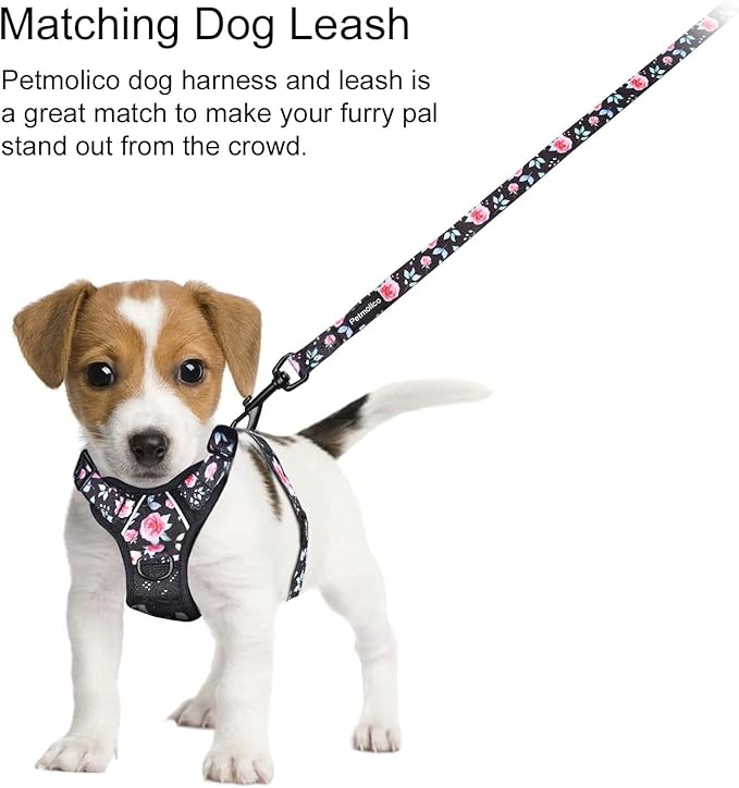 Petmolico No Pull Dog Harness and Leash Set, No Choke 4 Leash Attchments Easy Control Handle Soft Padded Reflective Vest Dog Harness for Small Dog Breed, Rose Small