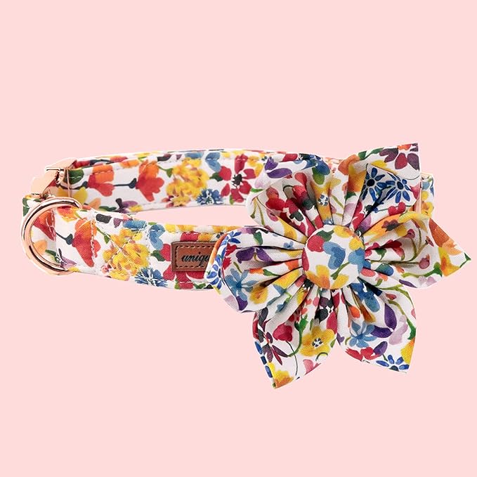 Uniqe Style Paws Flower Dog Collar, Puppy Collar Adjustable Girl Dog Collar with Flower, Durable Floral Pattern Pet Collar for X-Large Female Dogs