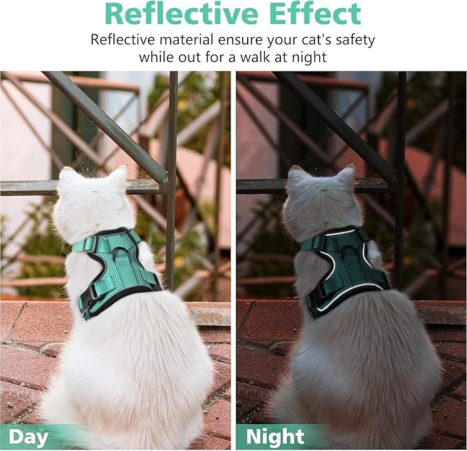 Dooradar Cat Harness and Leash Set, Escape Proof Safe Adjustable Kitten Vest Harnesses for Walking, Easy Control Soft Breathable Mesh Jacket with Reflective Strips for Cats, Green, XXS